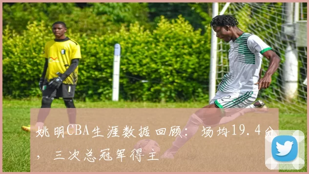 姚明CBA生涯数据回顾：场均19.4分，三次总冠军得主