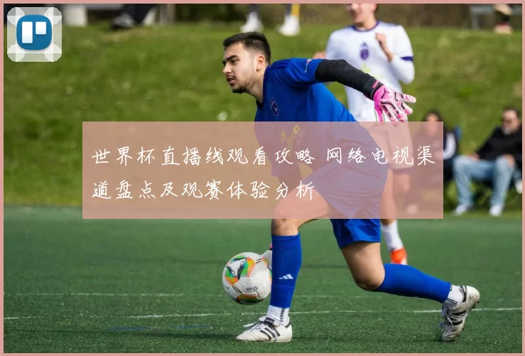 世界杯直播线观看攻略 网络电视渠道盘点及观赛体验分析