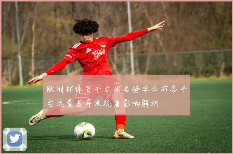 欧洲杯体育平台排名榜单公布各平台流量差异及观看影响解析