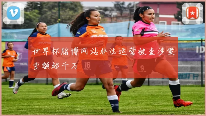 世界杯赌博网站非法运营被查涉案金额超千万